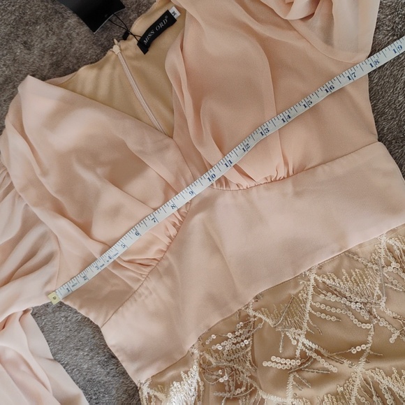 Miss Ord Lantern Sleeve Sequin Fringe Dress - Picture 4 of 8